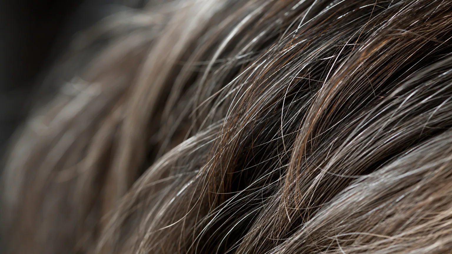 Gros plan macro sur une chevelure poivre et sel où des cheveux blancs se mêlent aux cheveux bruns, lumière douce et rasante révélant le détail de chaque mèche.