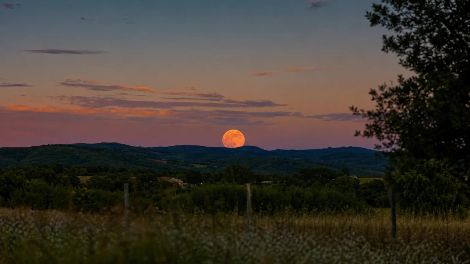 Grosse pleine lune orangée se levant à l'horizon au-dessus d'une ligne de collines boisées, au crépuscule d'été, ciel dégradé bleu et pêche.